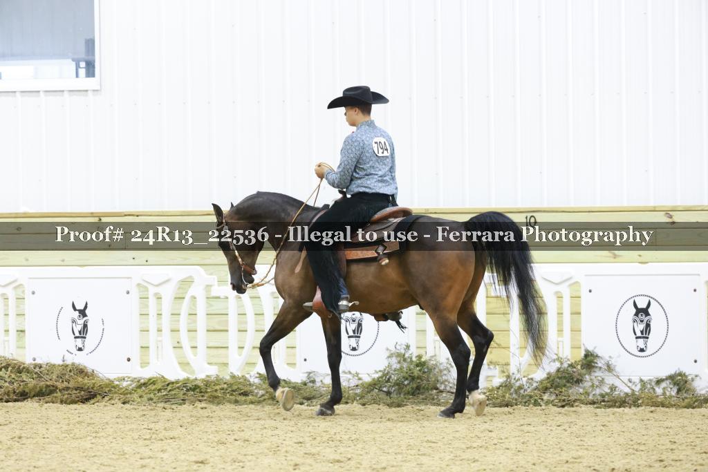 Proof 24R13_22536