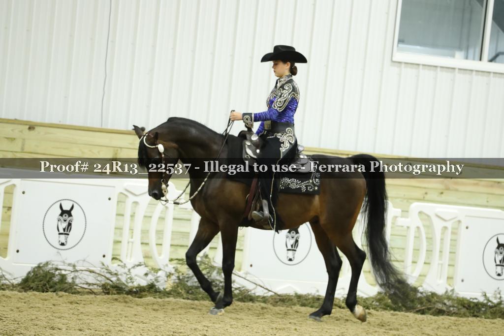 Proof 24R13_22537