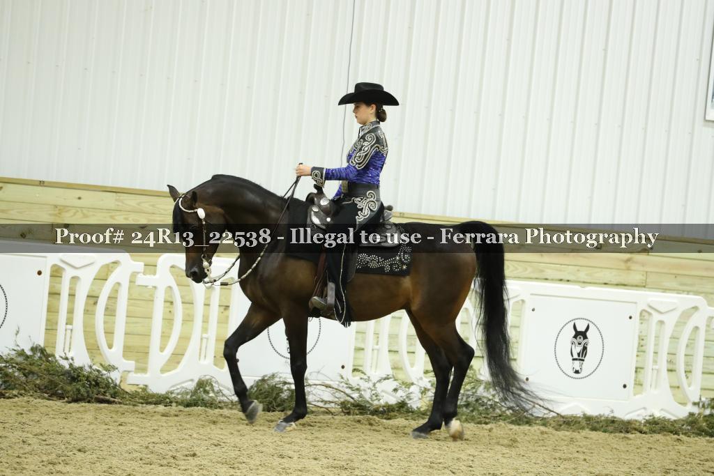 Proof 24R13_22538