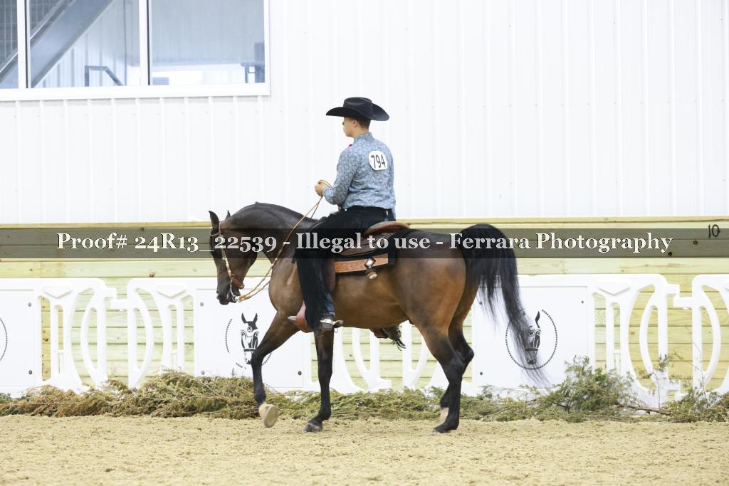 Proof 24R13_22539