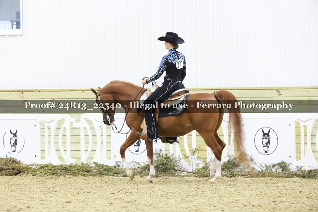 Proof 24R13_22540