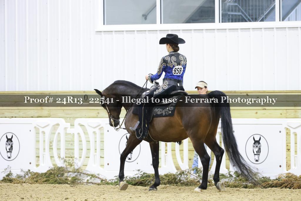 Proof 24R13_22541