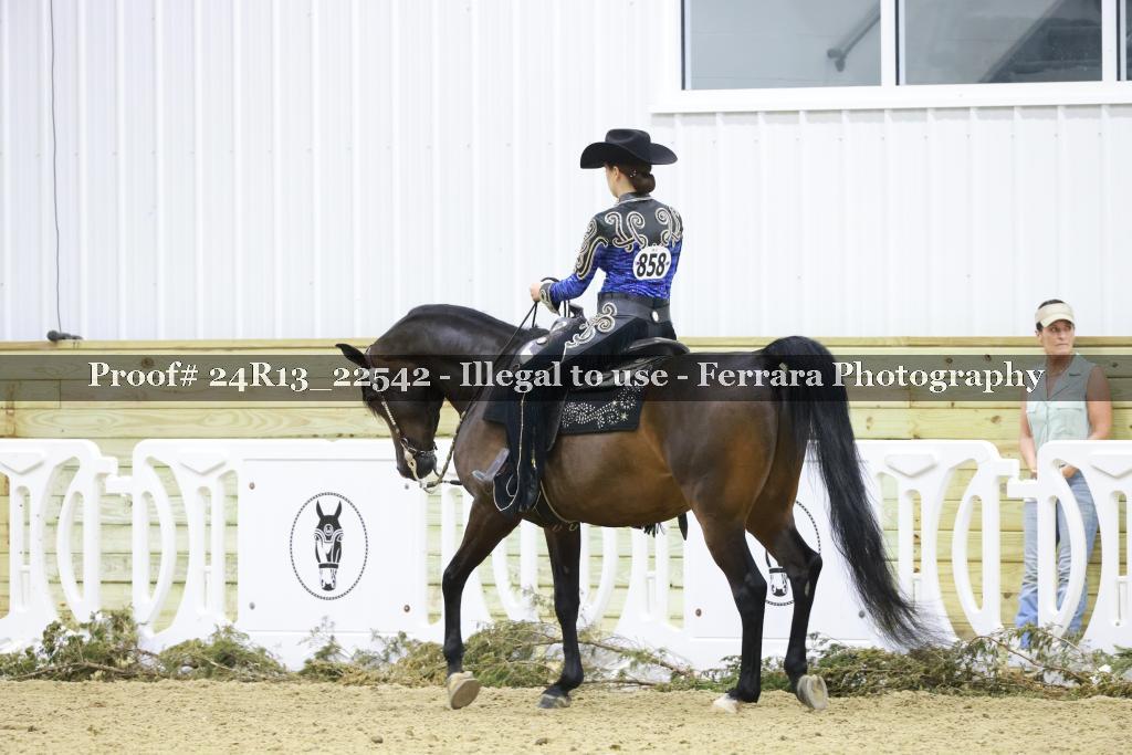 Proof 24R13_22542