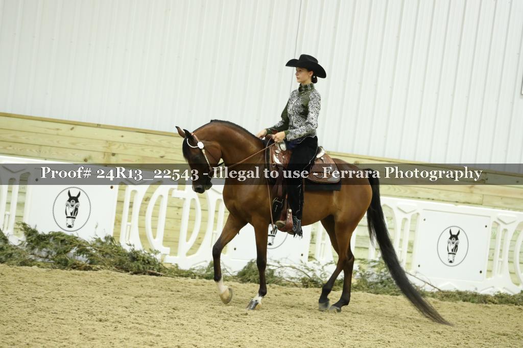 Proof 24R13_22543