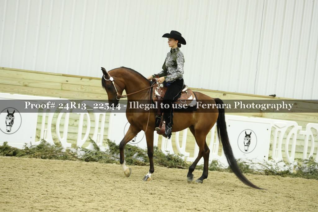 Proof 24R13_22544