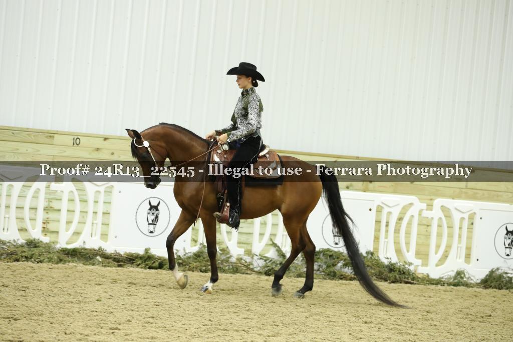 Proof 24R13_22545