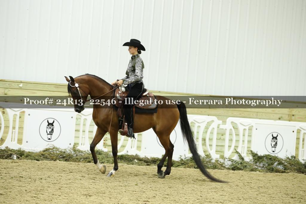 Proof 24R13_22546