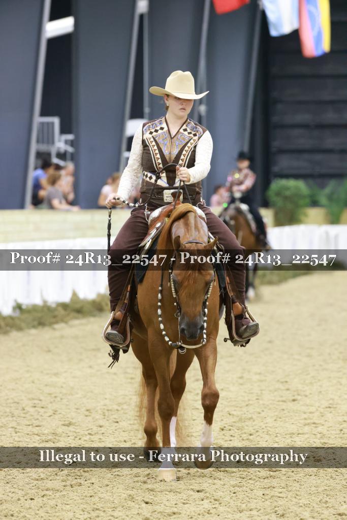 Proof 24R13_22547