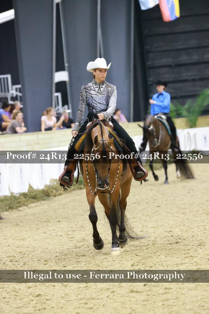 Proof 24R13_22556