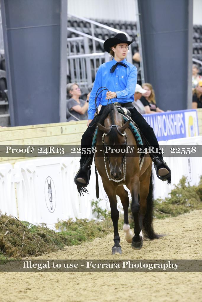 Proof 24R13_22558