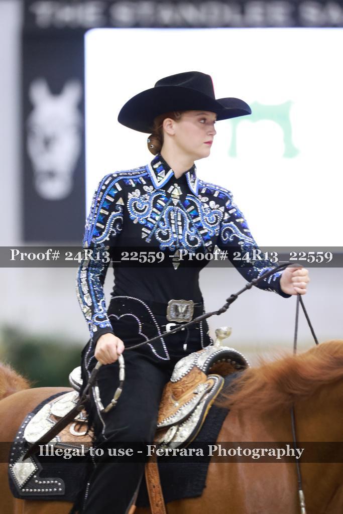 Proof 24R13_22559
