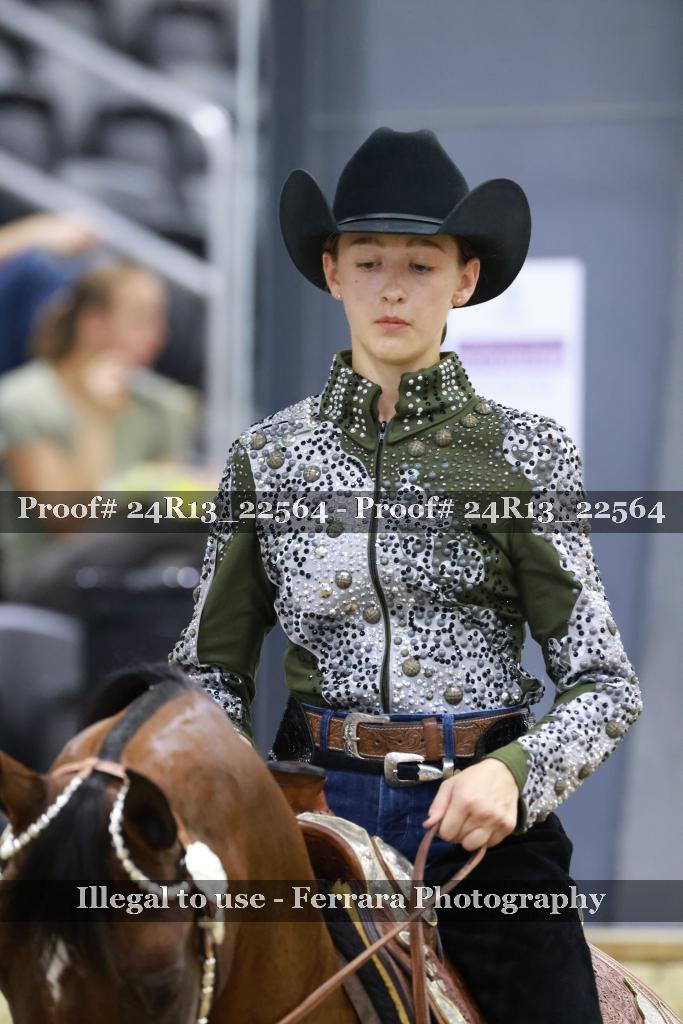 Proof 24R13_22564