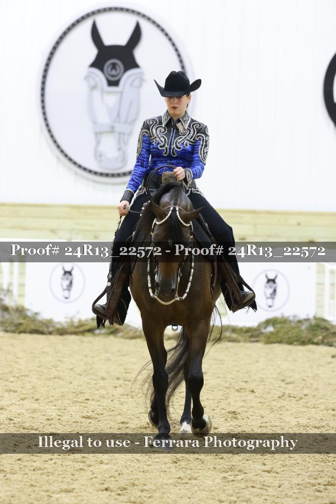 Proof 24R13_22572