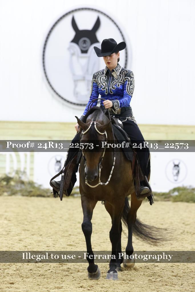 Proof 24R13_22573