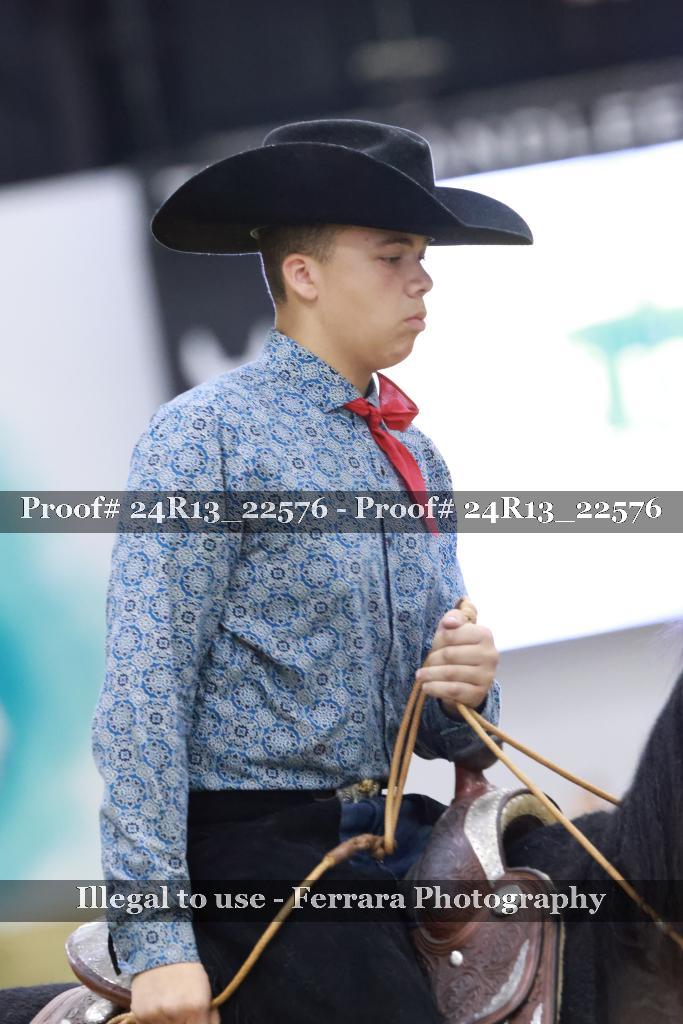 Proof 24R13_22576