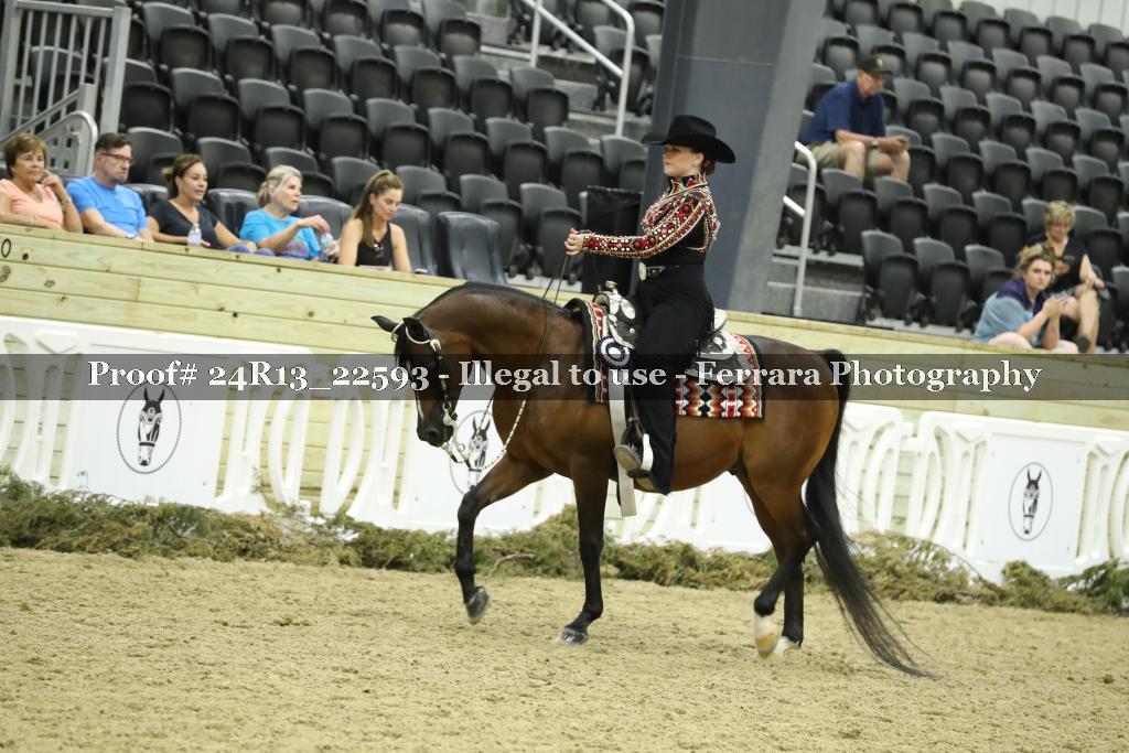 Proof 24R13_22593