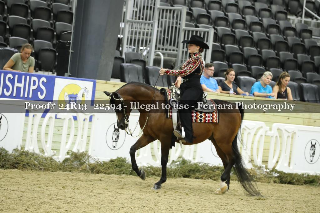 Proof 24R13_22594