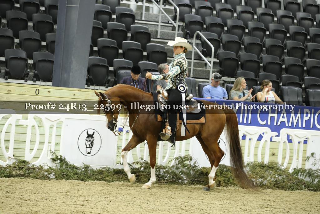Proof 24R13_22599