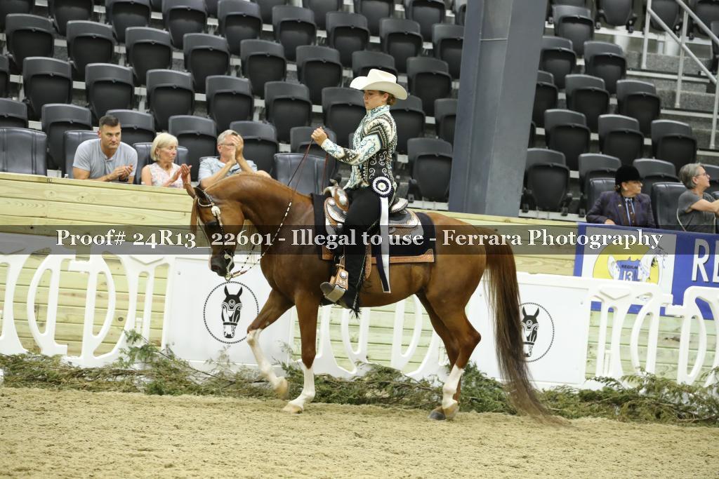 Proof 24R13_22601