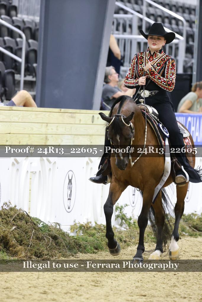 Proof 24R13_22605