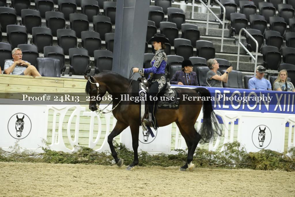 Proof 24R13_22608