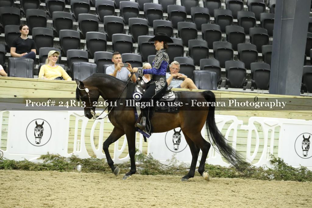 Proof 24R13_22611