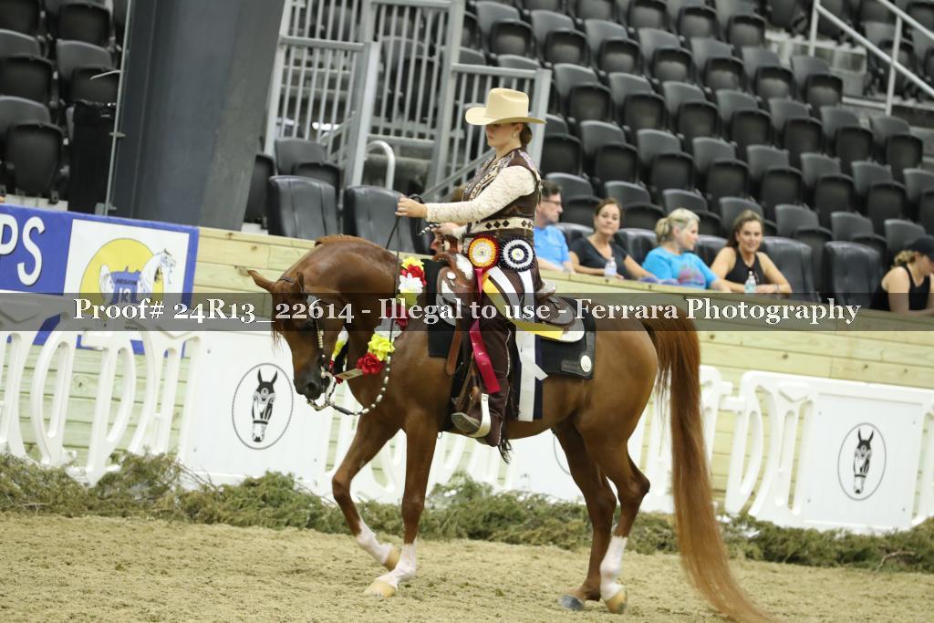 Proof 24R13_22614