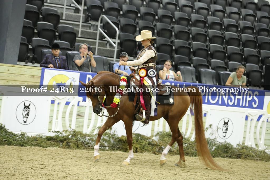 Proof 24R13_22616
