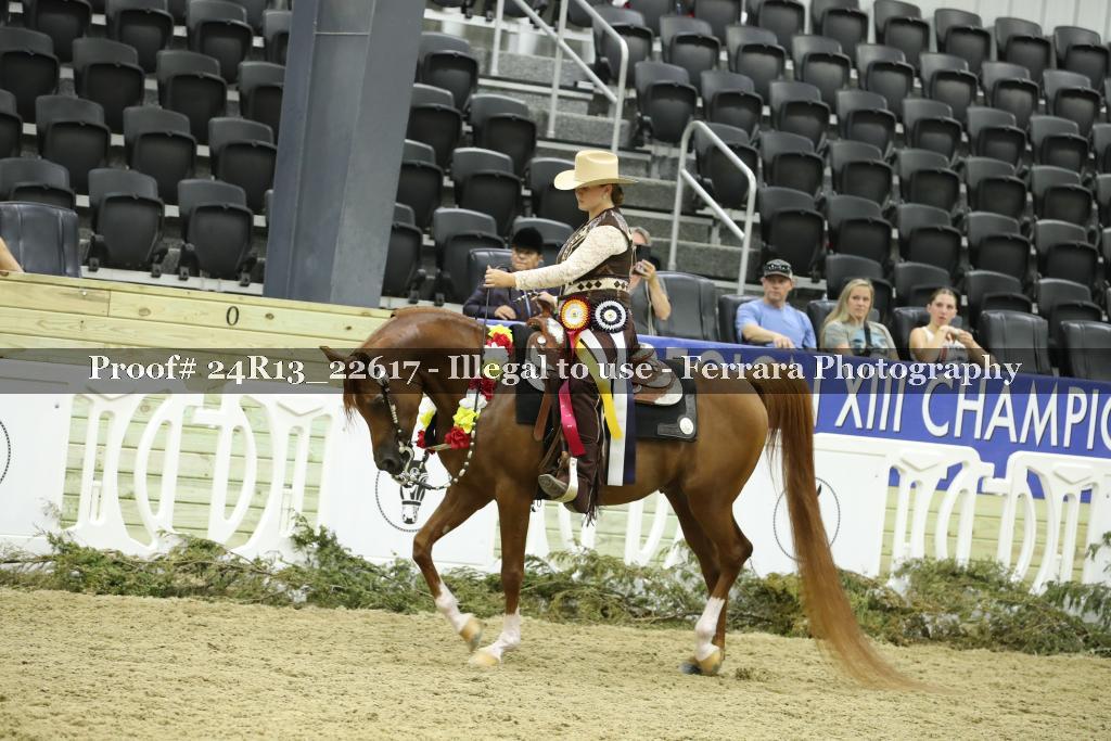 Proof 24R13_22617