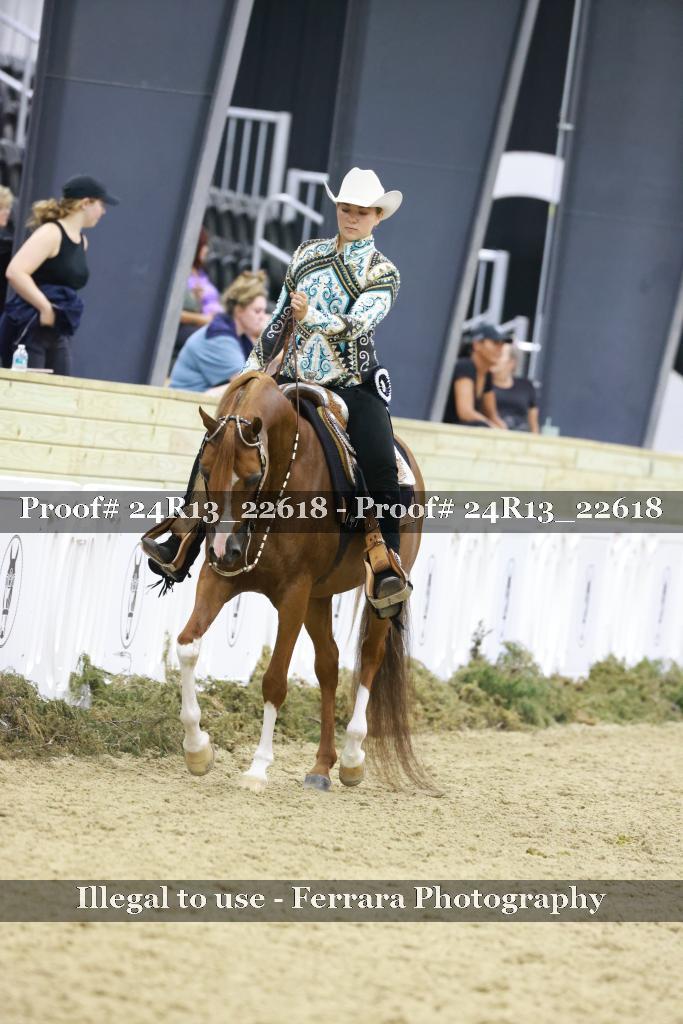 Proof 24R13_22618