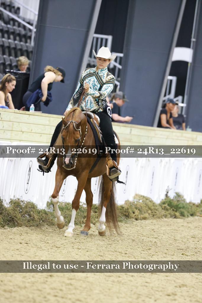Proof 24R13_22619