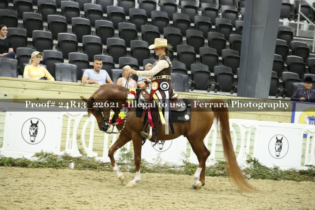 Proof 24R13_22621