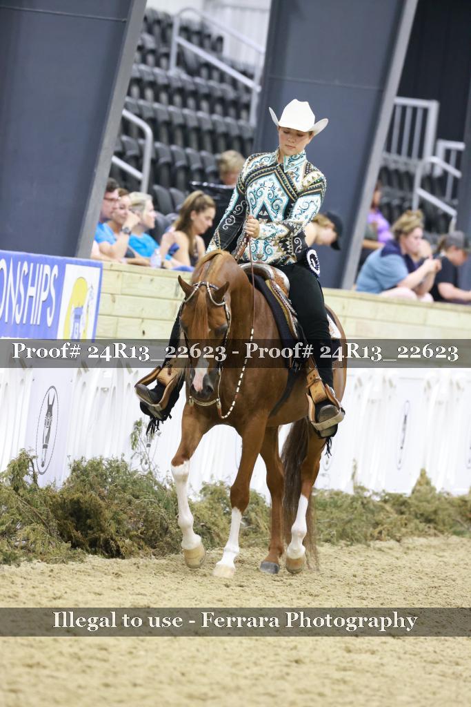 Proof 24R13_22623