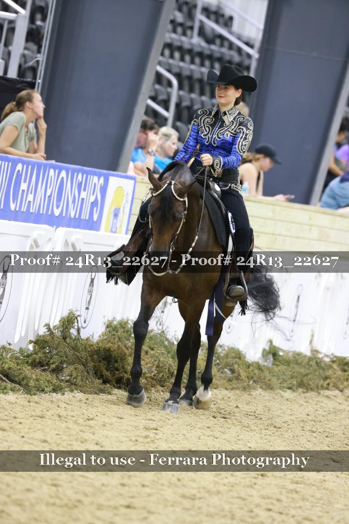 Proof 24R13_22627