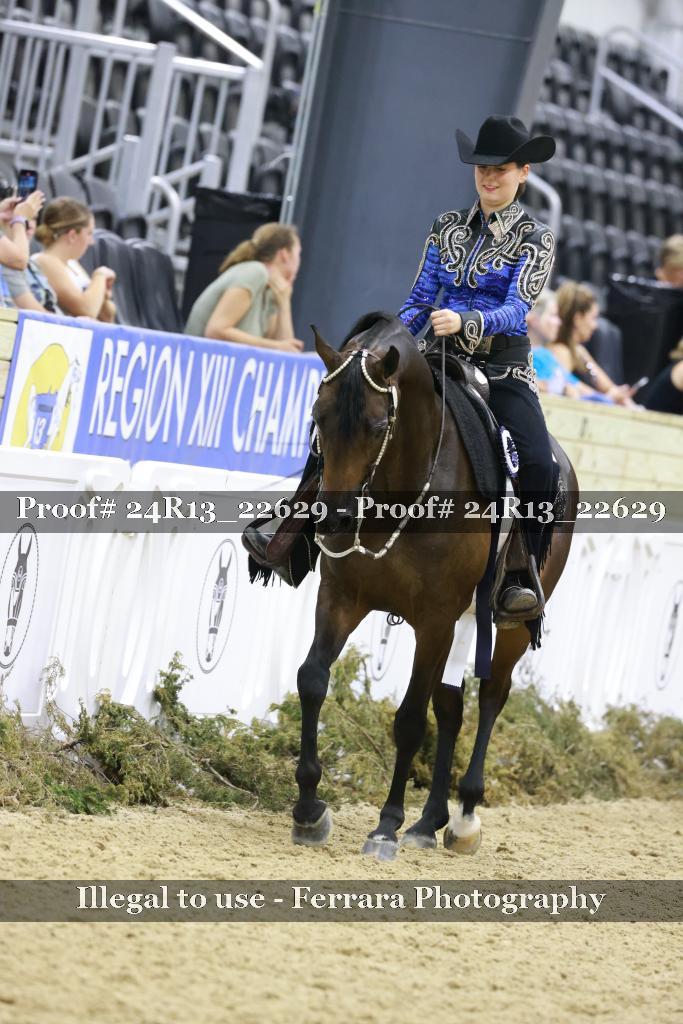 Proof 24R13_22629