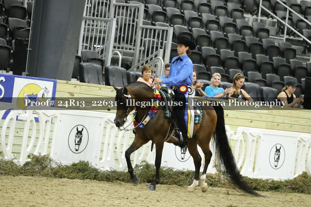 Proof 24R13_22631