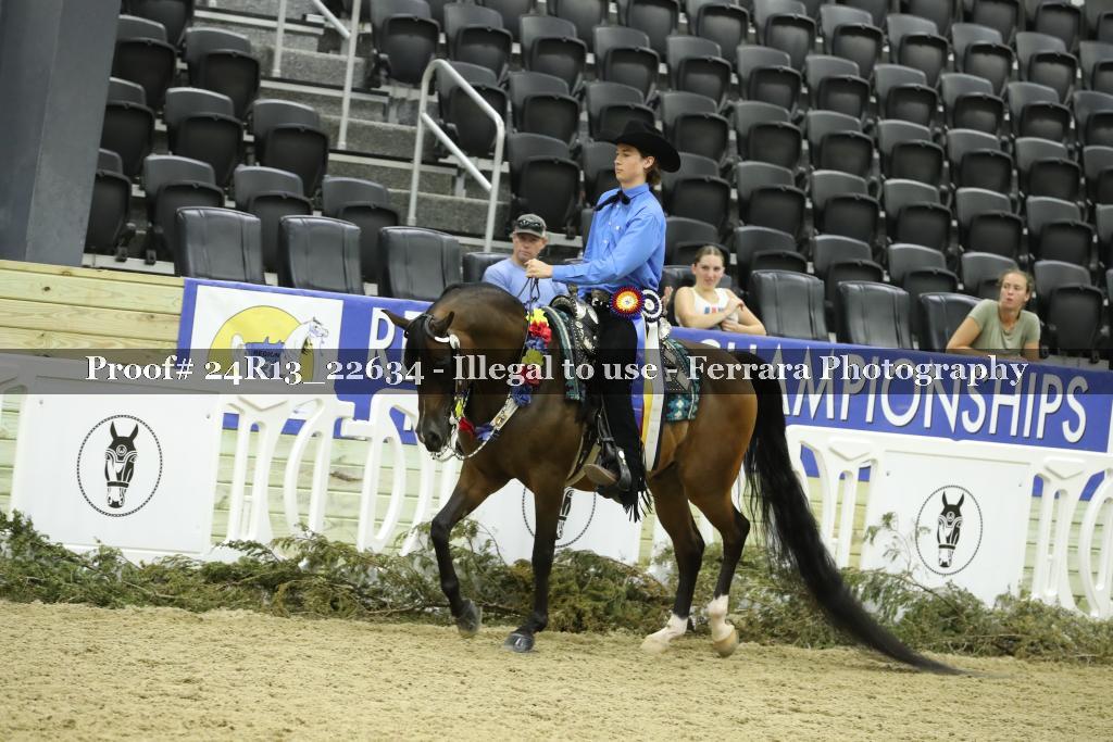 Proof 24R13_22634