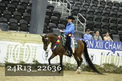 24R13_22636 proof