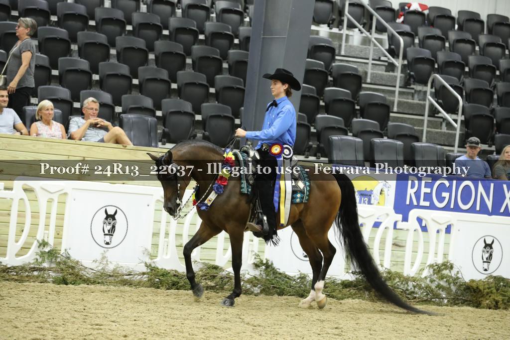 Proof 24R13_22637