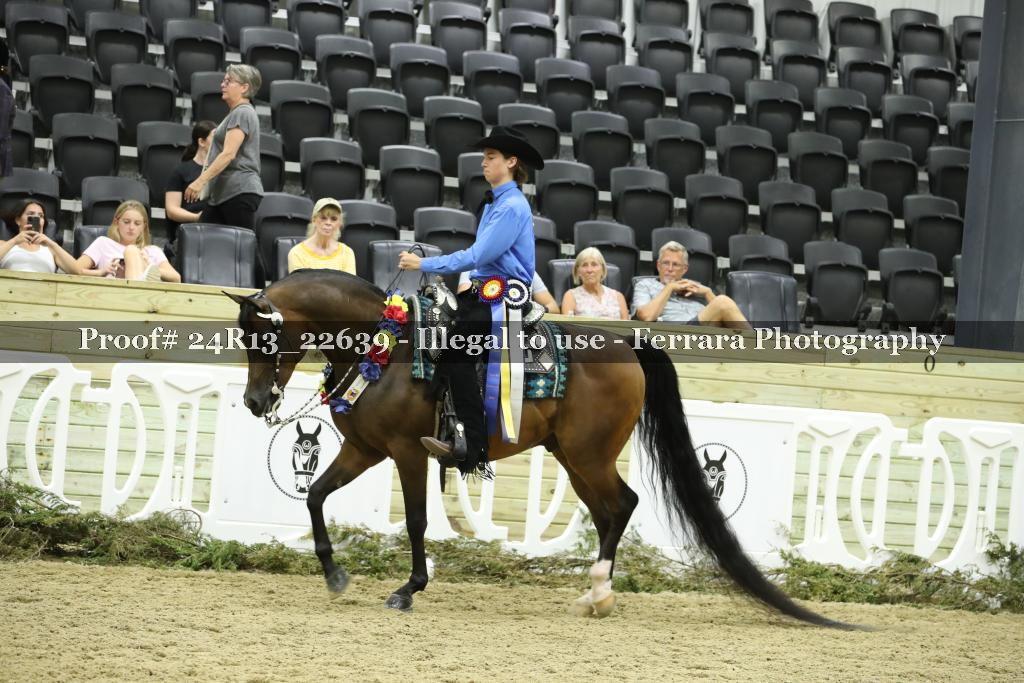 Proof 24R13_22639
