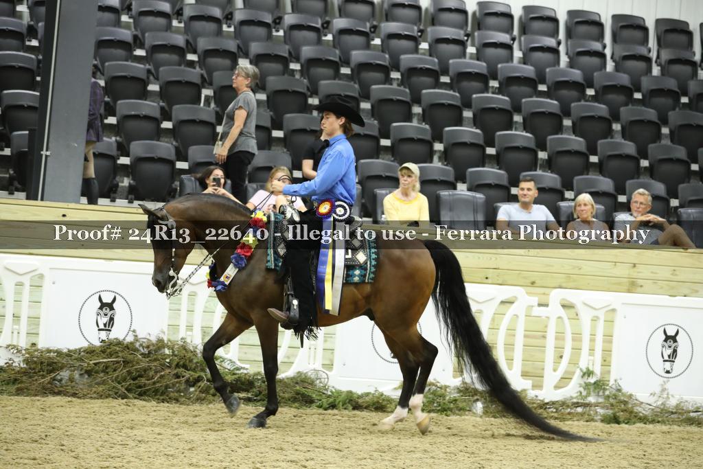 Proof 24R13_22640