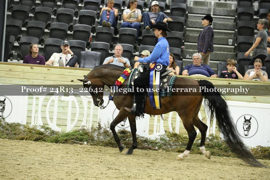 Proof 24R13_22642