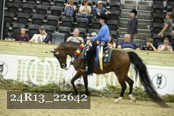 24R13_22642 proof