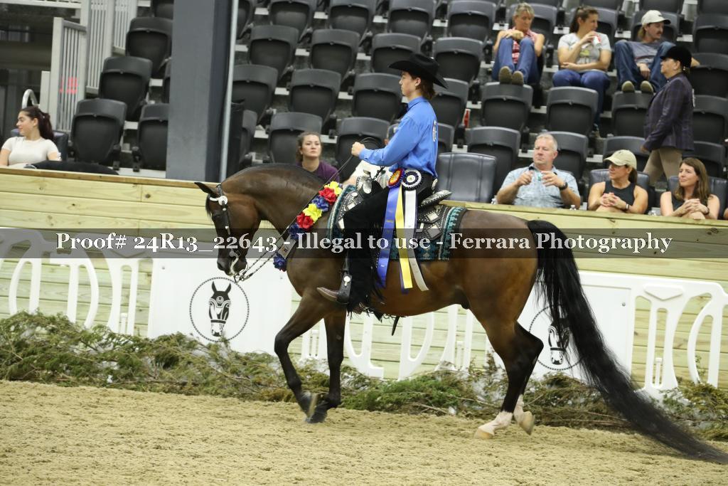 Proof 24R13_22643