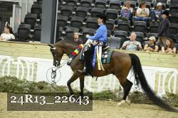 24R13_22643 proof