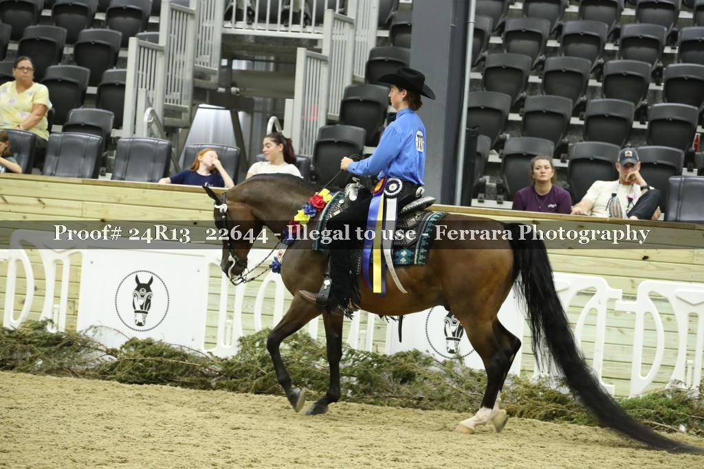 Proof 24R13_22644