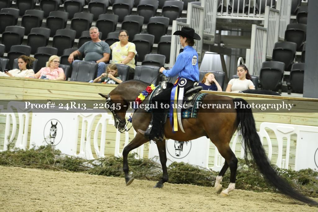 Proof 24R13_22645