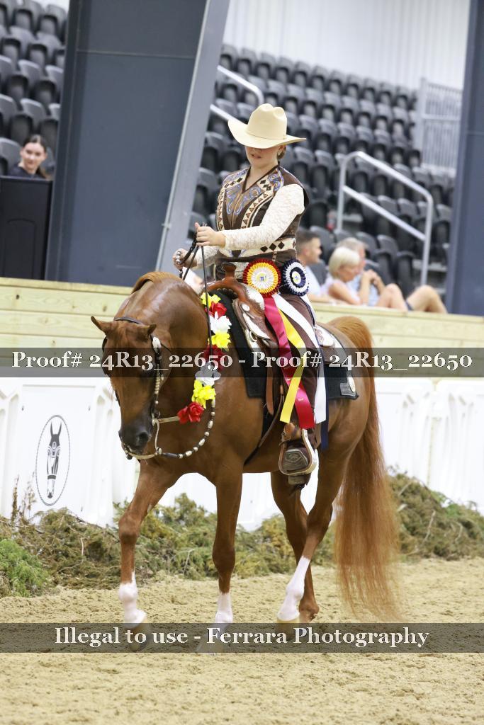 Proof 24R13_22650