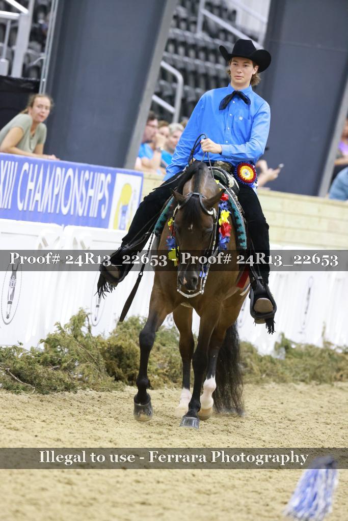 Proof 24R13_22653