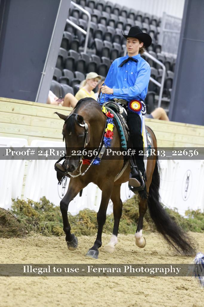 Proof 24R13_22656